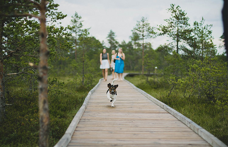 Going for a walk in Morrisburg, Ontario