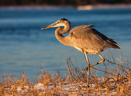 Life along the river in Dutch Meadows, Morrisburg, Ontario